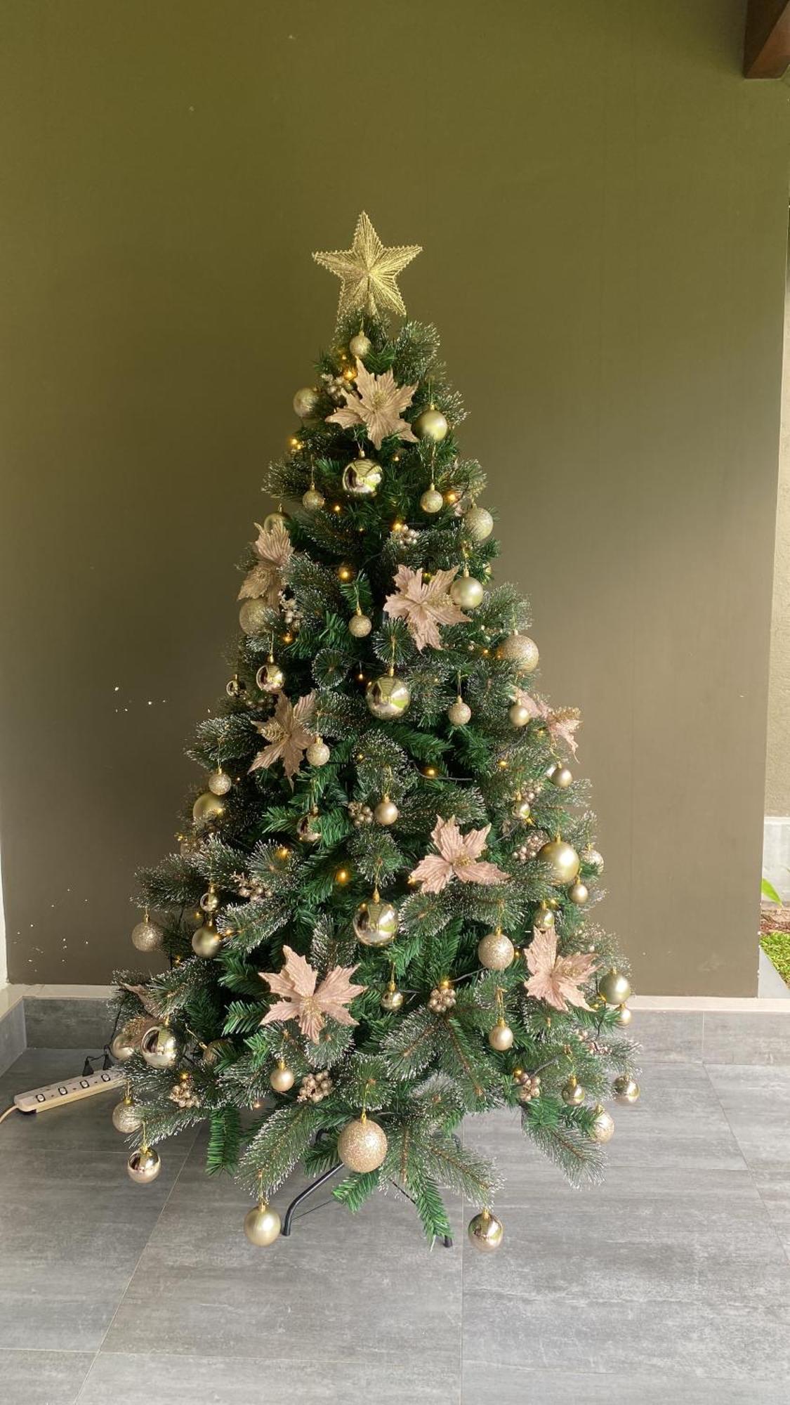 Negombo 146 Homestay ภายนอก รูปภาพ