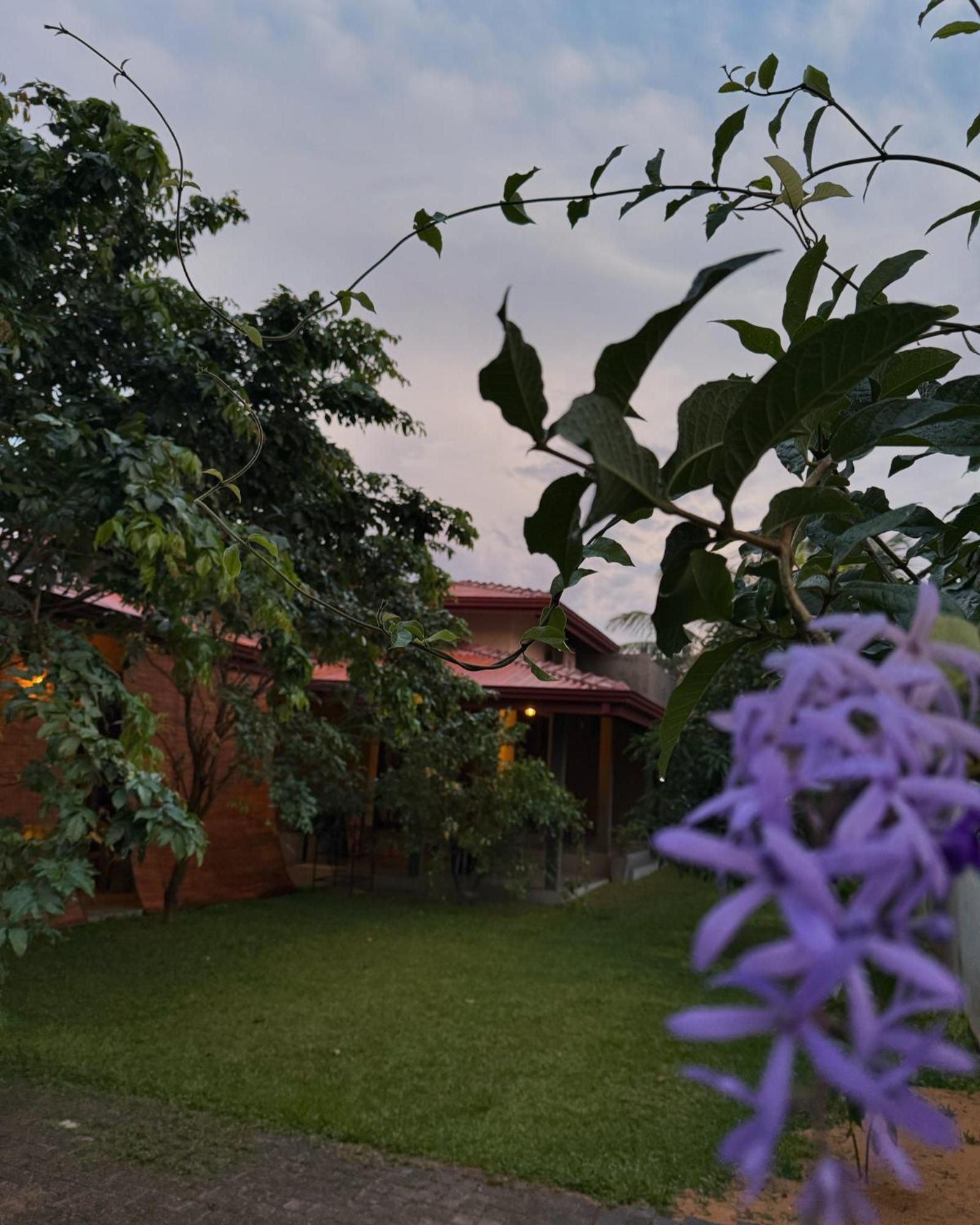 Negombo 146 Homestay ภายนอก รูปภาพ